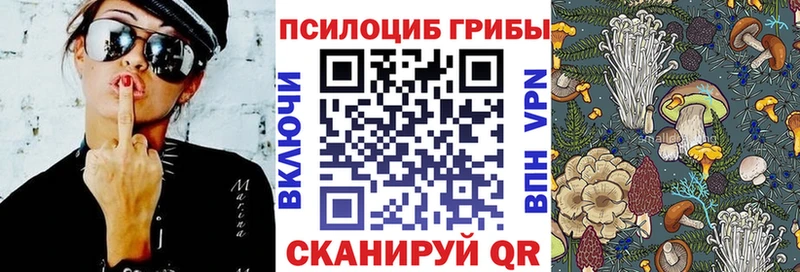 мега вход  купить закладку  Псков  Псилоцибиновые грибы Cubensis 